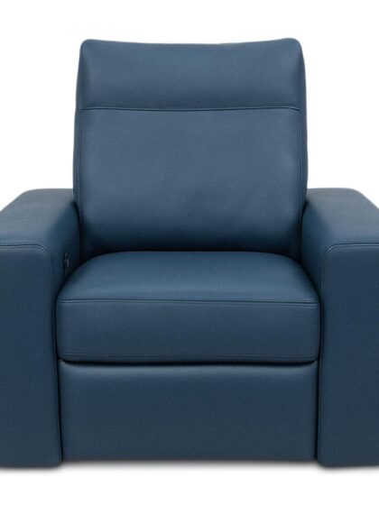 Telluride Recliner American Leather