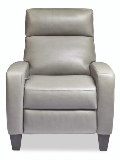 Dexter Contemporary Recliner American Leather