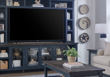 Entertainment Room