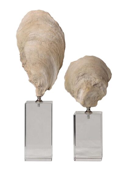Uttermost Oyster Shell Sculptures Set/2