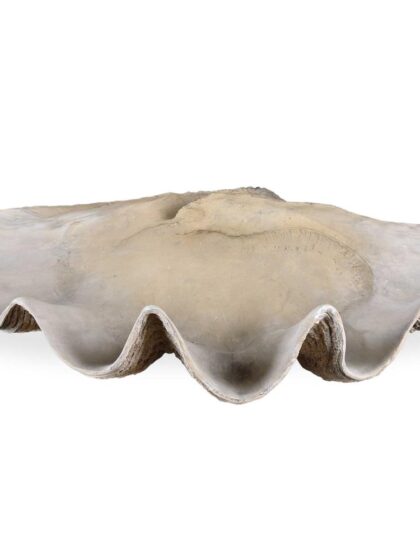 Uttermost Clam Shell Bowl