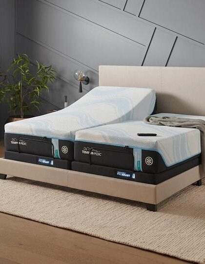 TEMPUR-Ergo(R) ProSmart(TM) Base Split Cal King