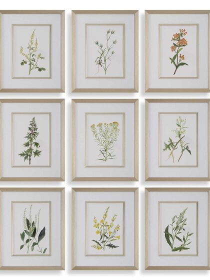Uttermost Botanical Flowers Framed Prints Set/9