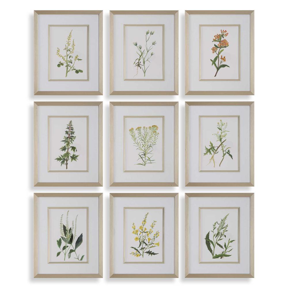 Uttermost Botanical Flowers Framed Prints Set/9