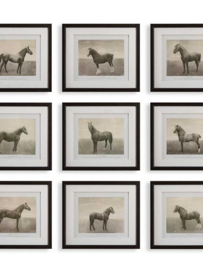 Uttermost Equine Dynasty Framed Prints Set/9