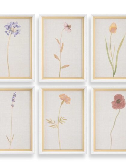 Uttermost Wild Flourish Framed Floral Prints Set/6