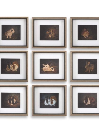 Uttermost Resting Bunny Framed Prints Set/9