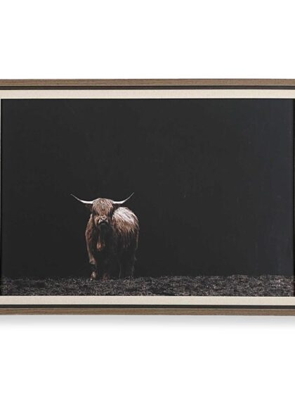 Uttermost King Of The Hill Framed Bovine Print