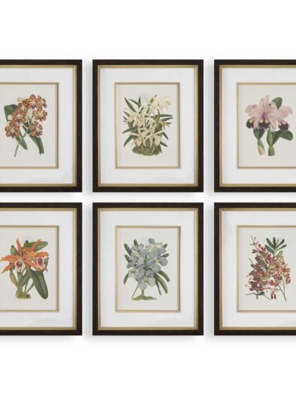 Uttermost Orchid Botanical Framed Prints Set/6