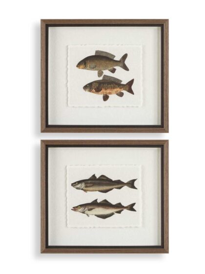 Uttermost The Catch Framed Fish Prints Set/2