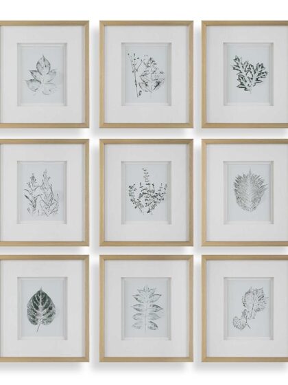 Uttermost Nature's Script Framed Botanical Prints Set/9