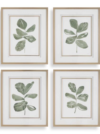 Uttermost Fiddle Head Leaf Botanical Prints Set/4