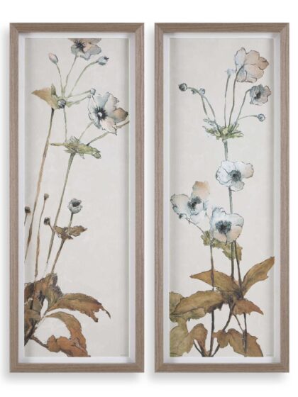 Uttermost Garden Study Framed Floral Prints, S/2
