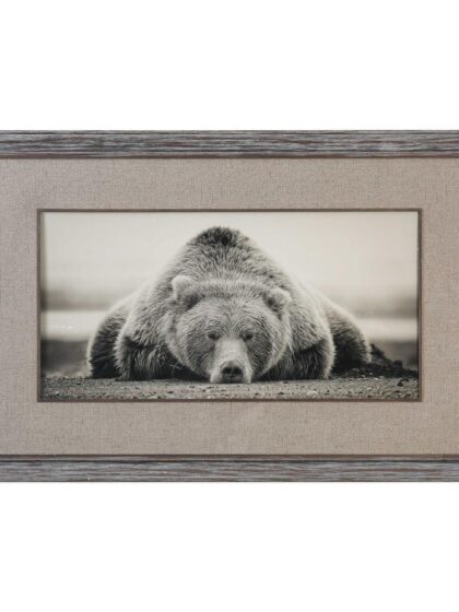 Uttermost Deep Sleep Bear Print