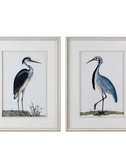 Uttermost Shore Birds Framed Prints Set/2