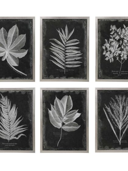 Uttermost Foliage Framed Prints Set/6