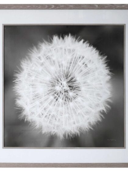 Uttermost Dandelion Seedhead Framed Print