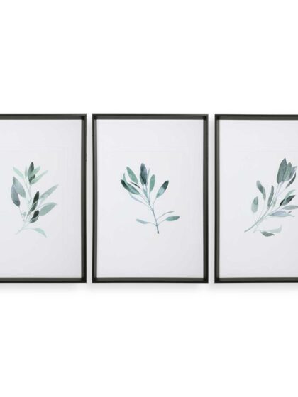 Uttermost Simple Sage Watercolor Prints Set/3