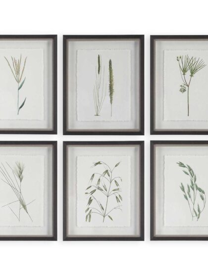 Uttermost Forest Finds Framed Prints Set/6