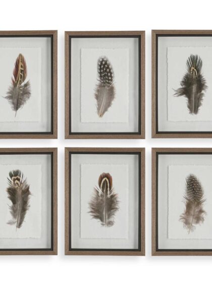 Uttermost Birds Of A Feather Framed Prints Set/6