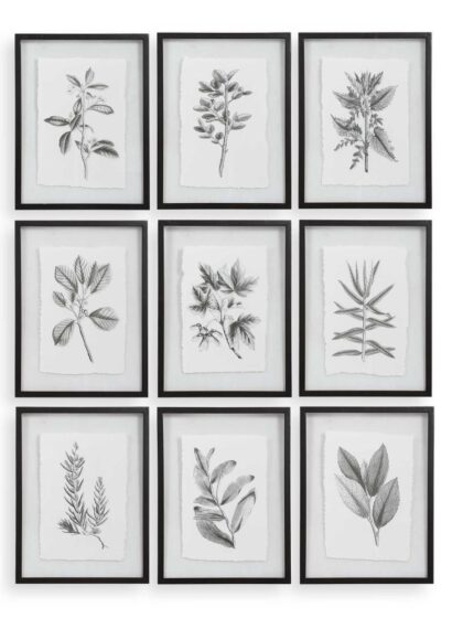 Uttermost Farmhouse Florals Framed Prints Set/9