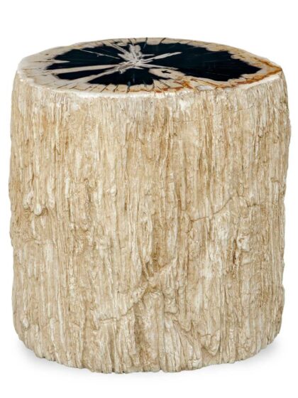 Uttermost Arco Petrified Wood Top Accent Table