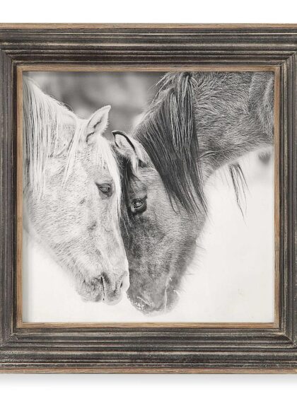 Uttermost Custom Black And White Horses Print