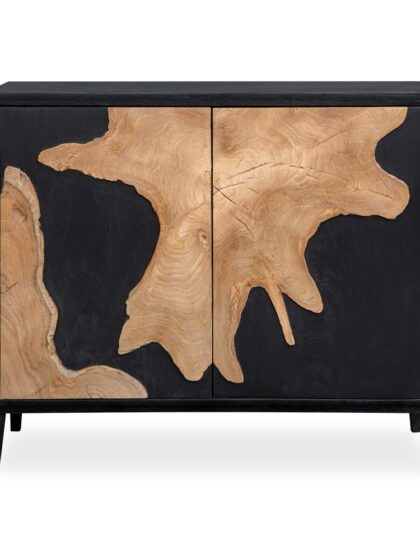 Uttermost Andrei Teak Root 2 Door Cabinet