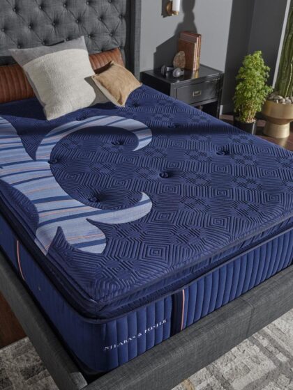 Reserve Firm Euro Pillowtop Twin Long