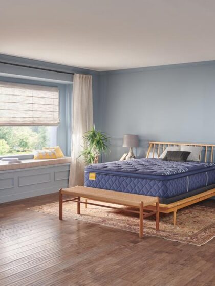 Remmington Soft Euro Pillow Top Double
