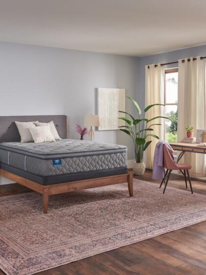 Sixth & Park Soft Euro Pillow Top Cal King