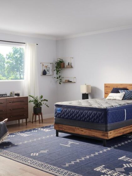 Midnight Cove Soft Euro Pillow Top Twin Long