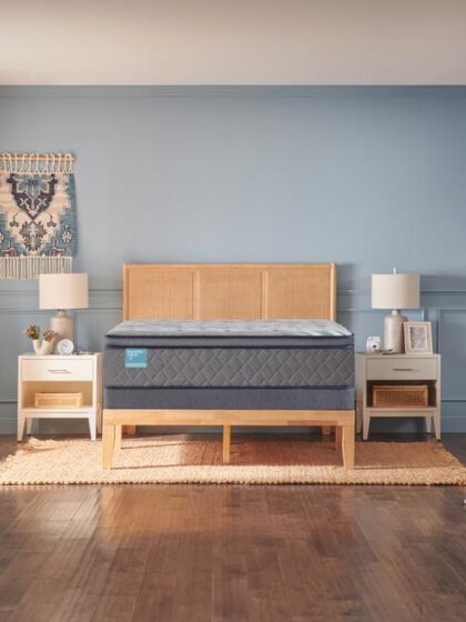 Wild Canyon Soft Euro Pillow Top Twin Long