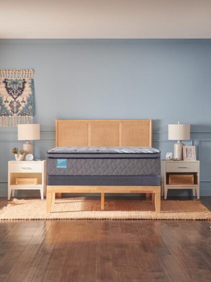 Remey Soft Euro Pillow Top Queen