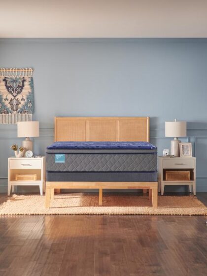 Royal Oaks Soft Euro Pillow Top Double