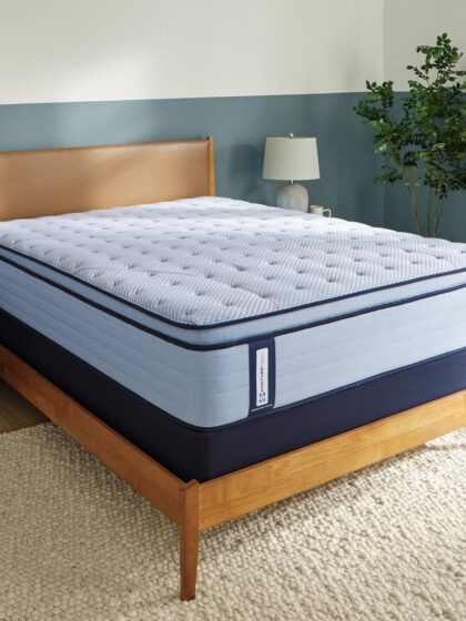 Medina II Euro Pillow Top Soft Queen