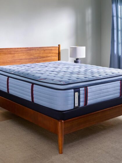 Dupont II Euro Pillow Top Medium Queen