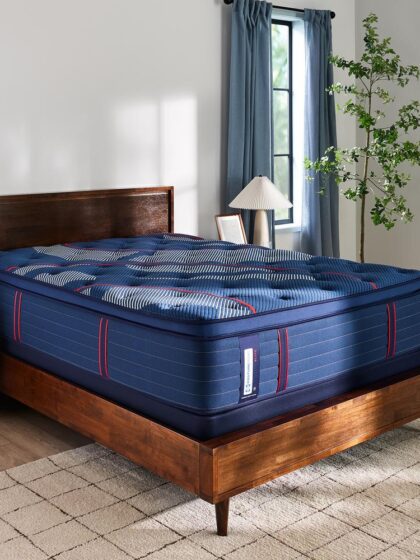 Albany II Euro Pillow Top Soft Twin XL