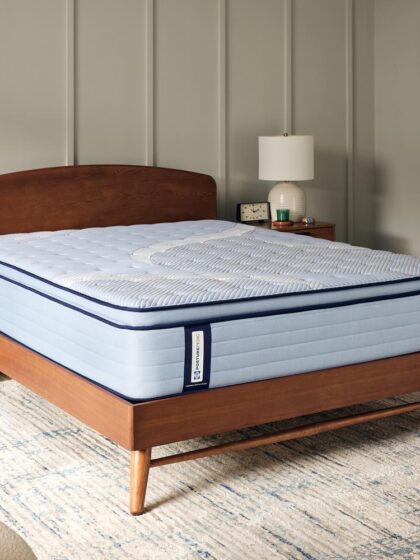 Albright II Euro Pillow Top Medium King