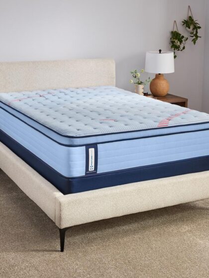 Dudley Euro Pillow Top Medium Full