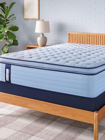 Equus Euro Pillow Top Soft Queen