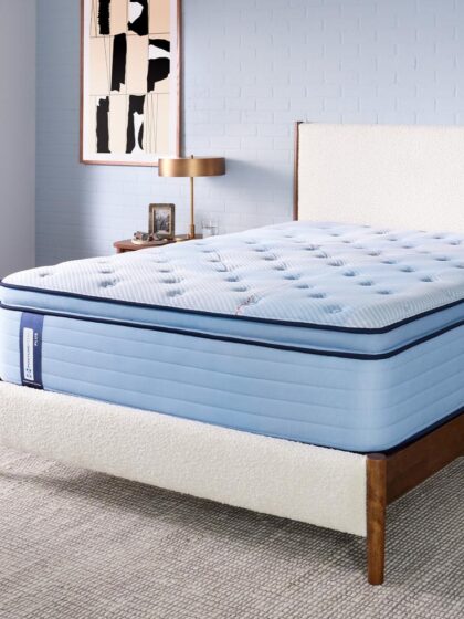 Hartsgrove Euro Pillow Top Soft King