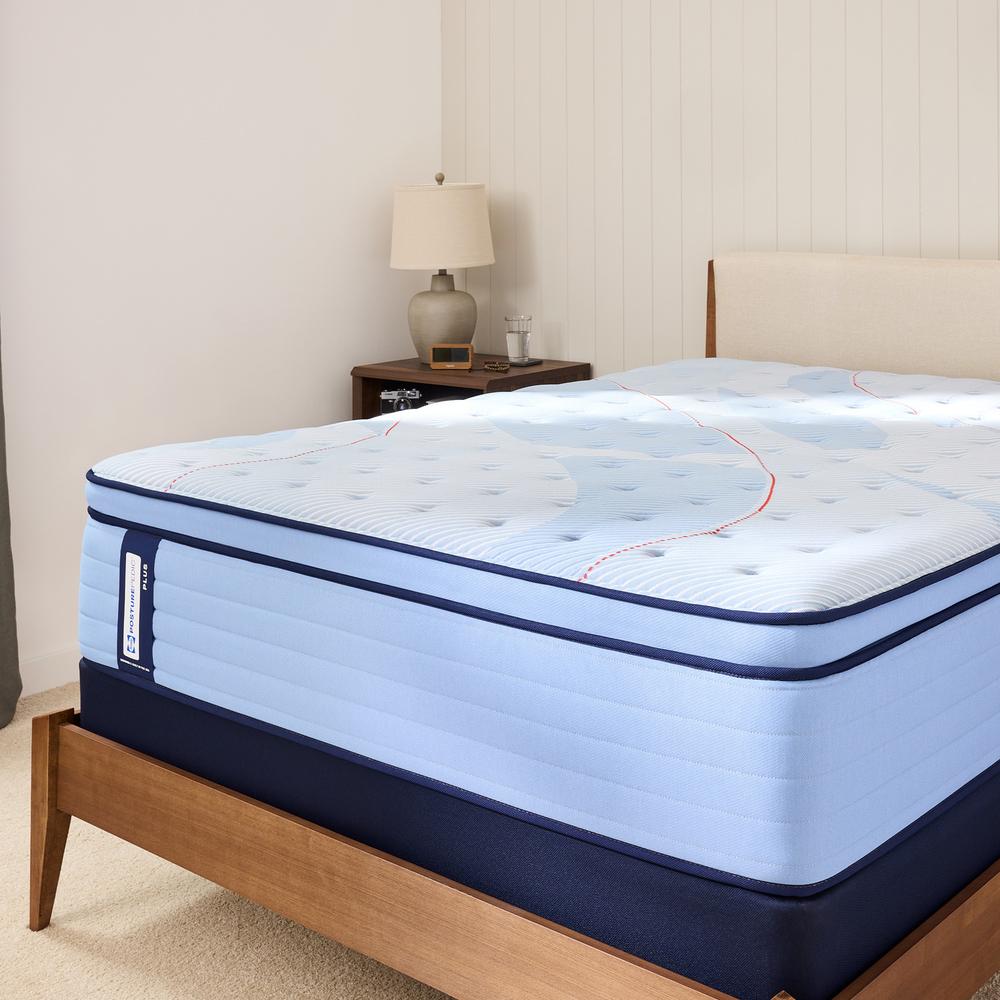 Plainfield Euro Pillow Top Firm Queen