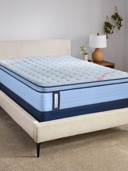 Fayette Euro Pillow Top Soft Twin
