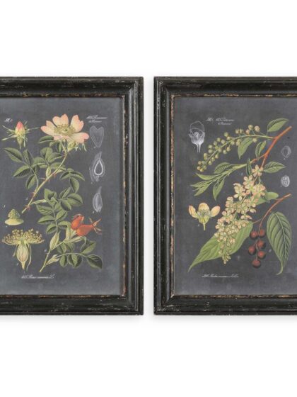 Uttermost Midnight Botanicals Wall Art Set/2