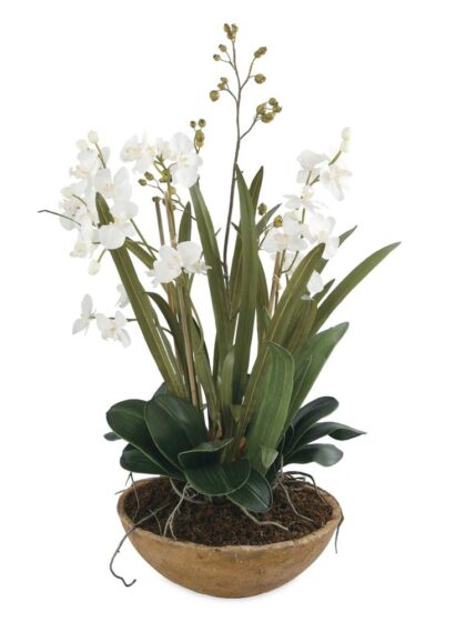 Uttermost Moth Orchid Planter