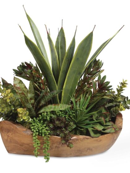 Uttermost Salar Succulents In Teak Bowl
