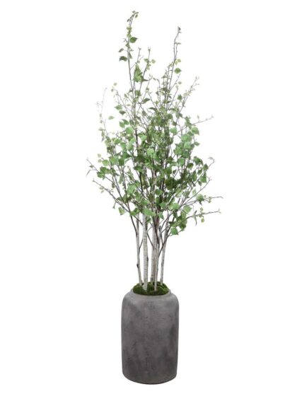 Uttermost Aldis Potted River Birch