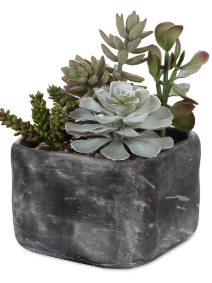 Uttermost Alverio Desert Garden Succulents
