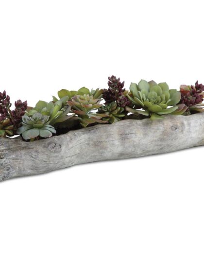 Uttermost Charita Lush Succulents